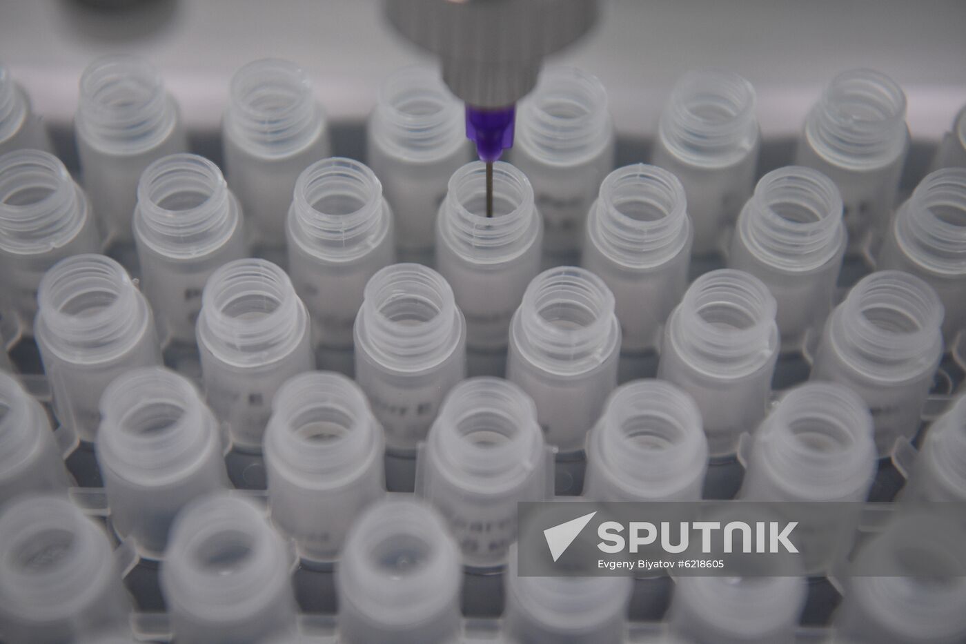Russia Coronavirus Tests
