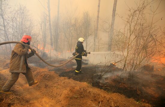 Ukraine Chernobyl Forest Fire