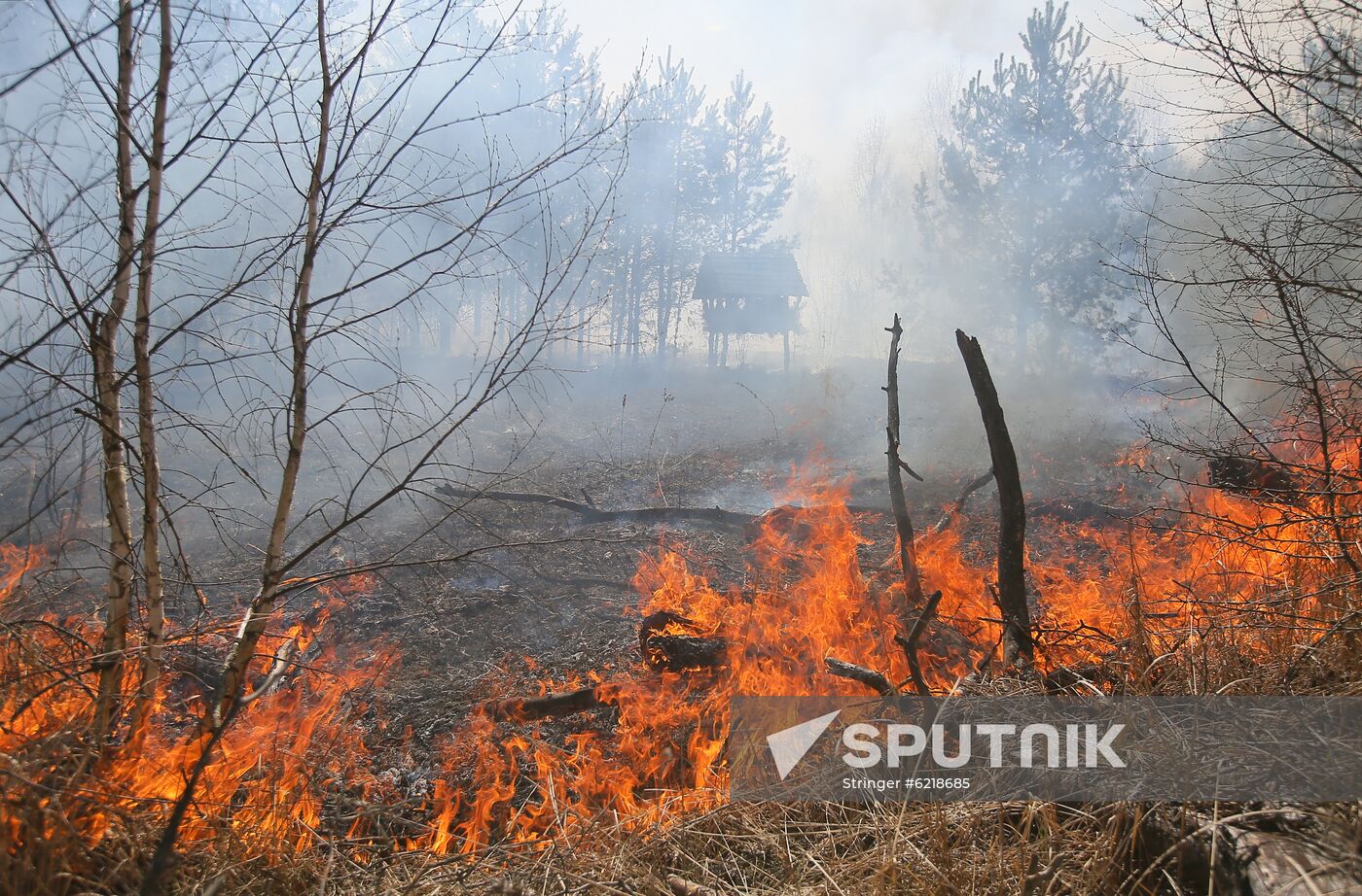 Ukraine Chernobyl Forest Fire