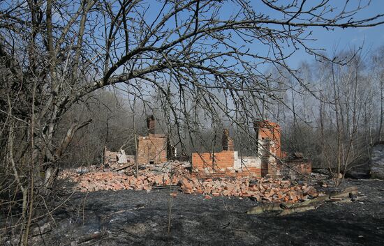 Ukraine Chernobyl Forest Fire