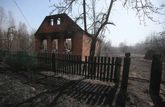 Ukraine Chernobyl Forest Fire