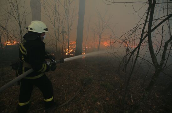 Ukraine Chernobyl Forest Fire