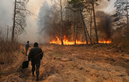 Ukraine Chernobyl Forest Fire