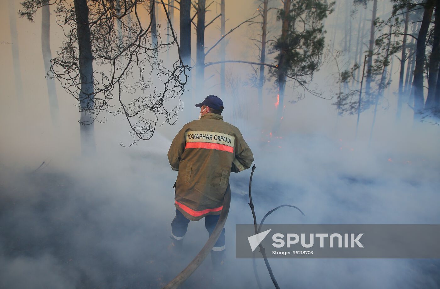 Ukraine Chernobyl Forest Fire