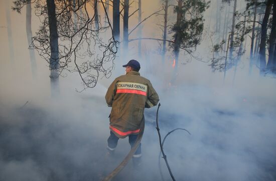 Ukraine Chernobyl Forest Fire