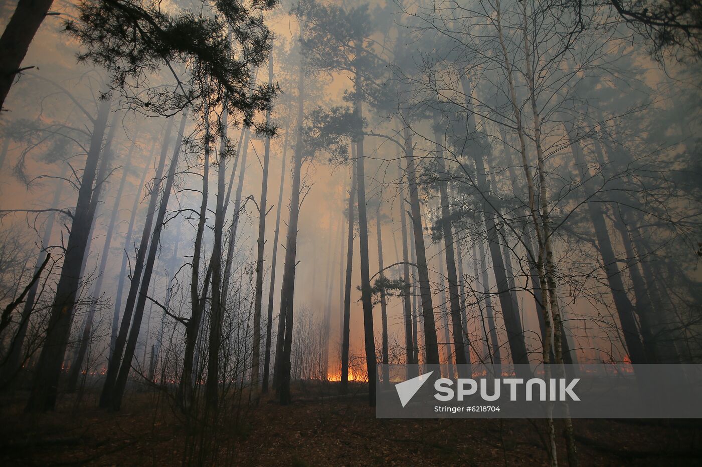 Ukraine Chernobyl Forest Fire
