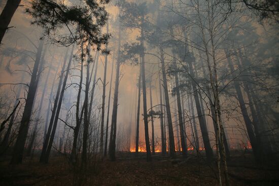 Ukraine Chernobyl Forest Fire