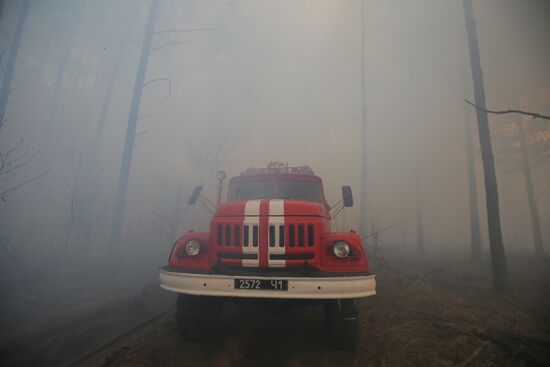 Ukraine Chernobyl Forest Fire