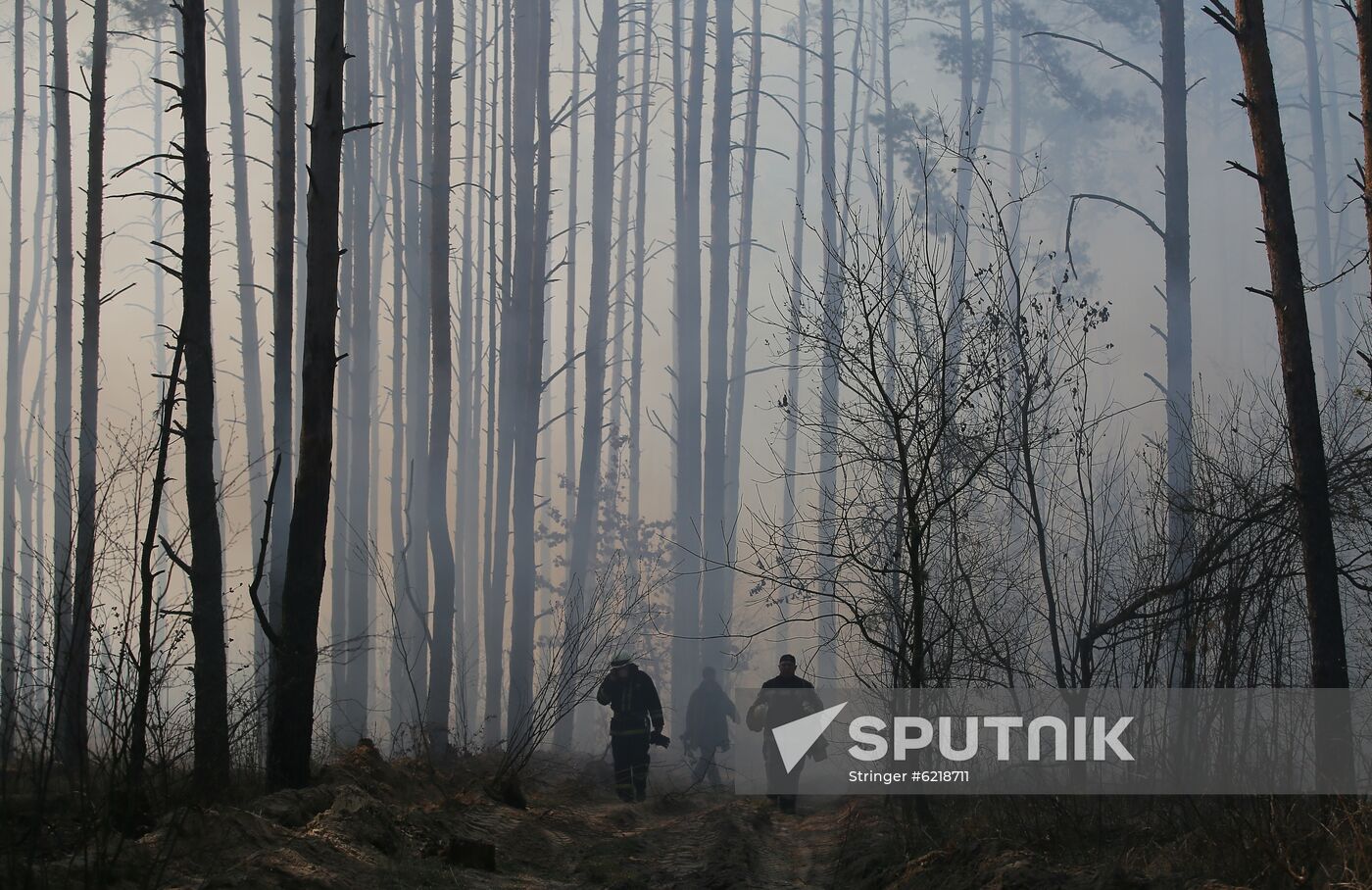 Ukraine Chernobyl Forest Fire