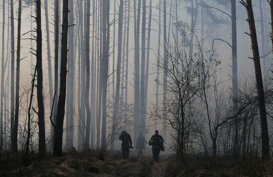Ukraine Chernobyl Forest Fire