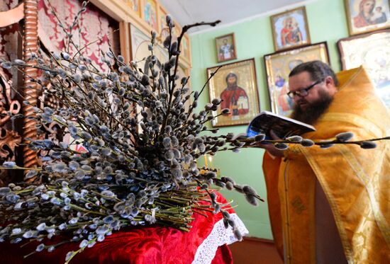 Russia Palm Sunday