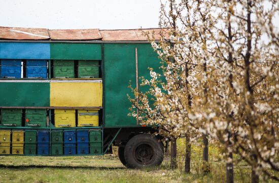 Russia Daily Life