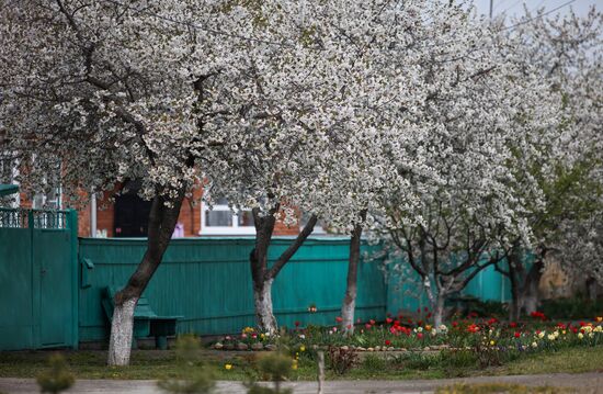 Russia Daily Life