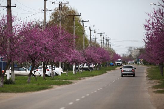 Russia Daily Life