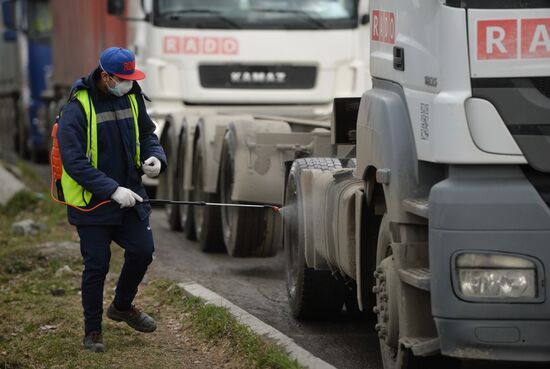Russia Coronavirus Customs Control