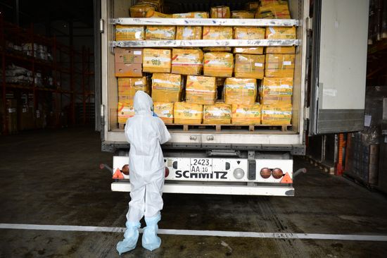 Russia Coronavirus Customs Control