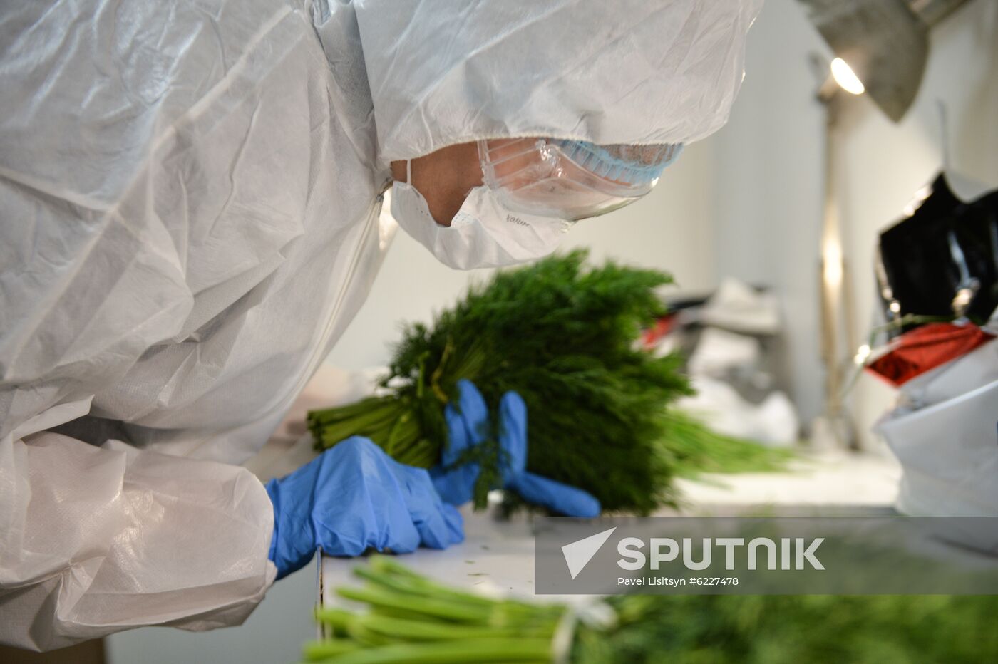 Russia Coronavirus Customs Control