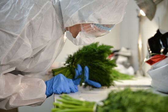 Russia Coronavirus Customs Control