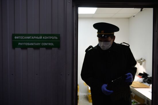 Russia Coronavirus Customs Control