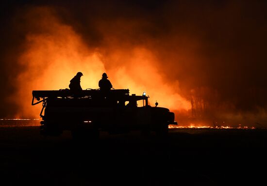 Wild fire in Novosibirsk Region
