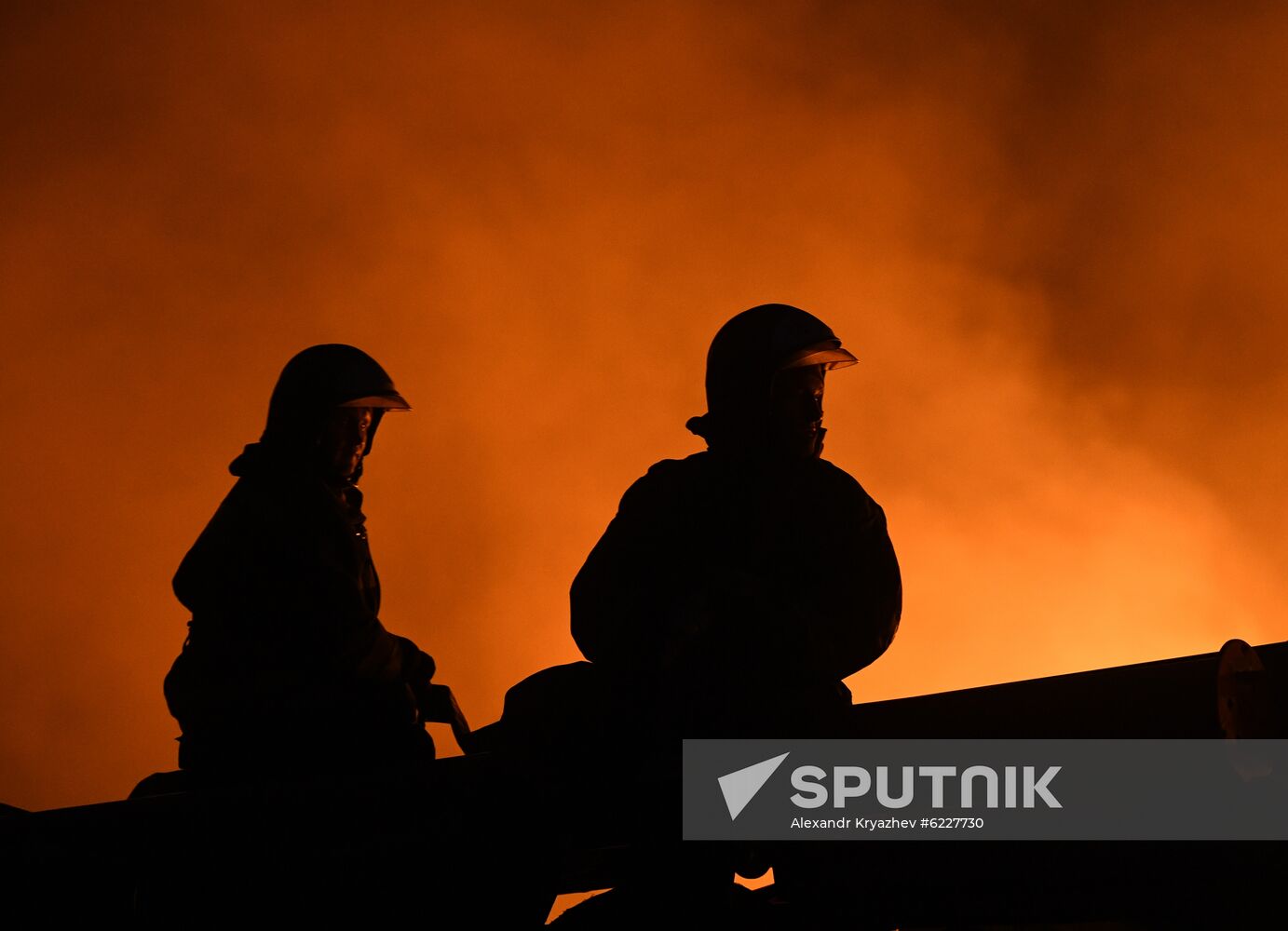 Wild fire in Novosibirsk Region