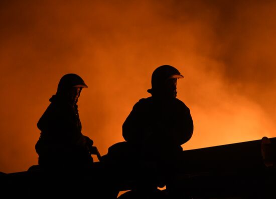 Wild fire in Novosibirsk Region