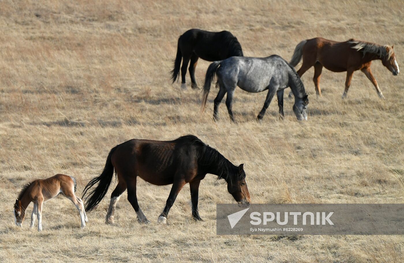 Russia Daily Life