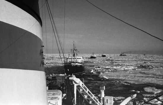 Moskva icebreaker