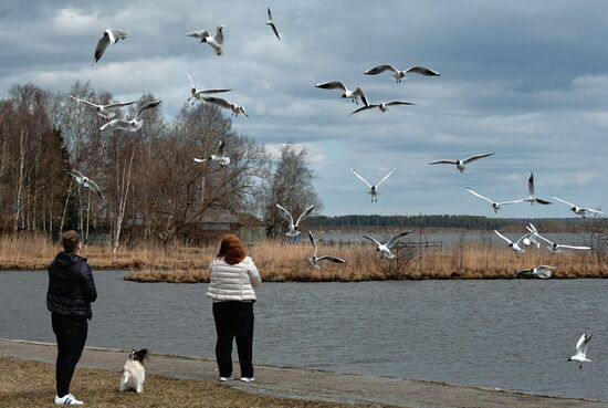 Russia Daily Life 