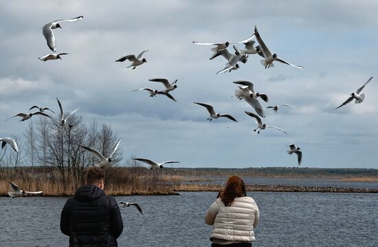 Russia Daily Life 