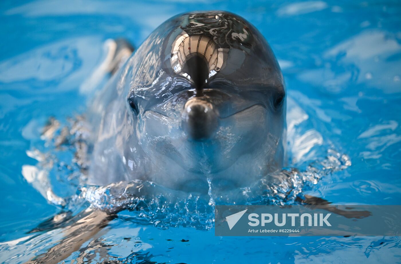 Russia Coronavirus Lockdown