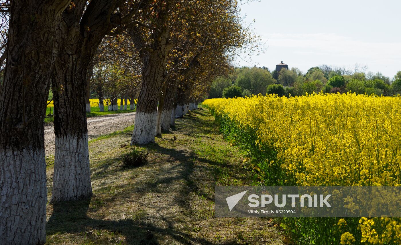 Russia Daily Life