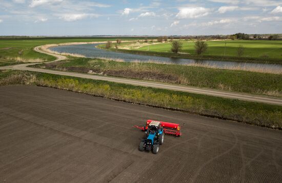 Russia Rice Planting