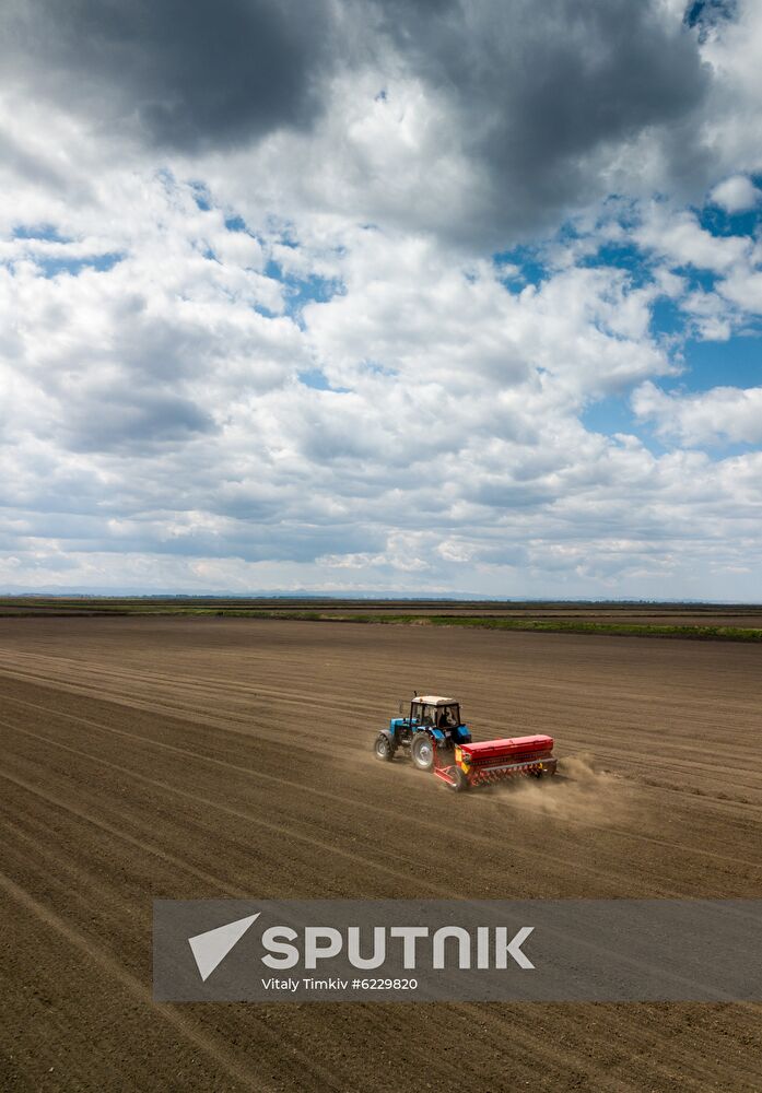 Russia Rice Planting