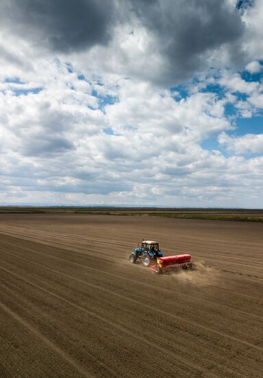 Russia Rice Planting