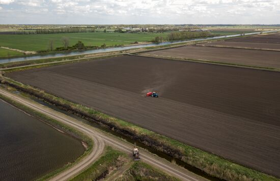 Russia Rice Planting