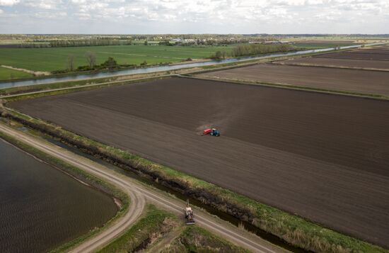 Russia Rice Planting