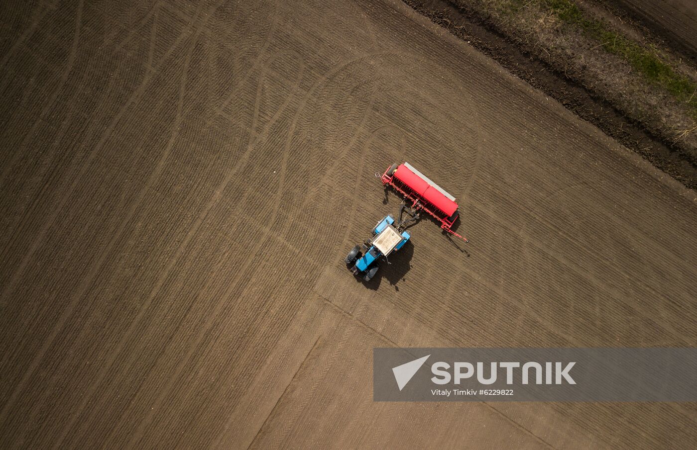 Russia Rice Planting