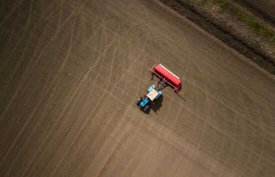 Russia Rice Planting