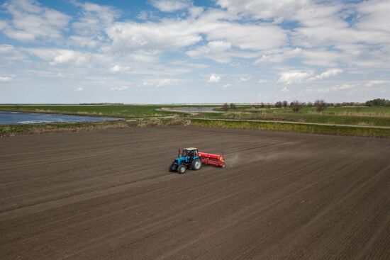 Russia Rice Planting