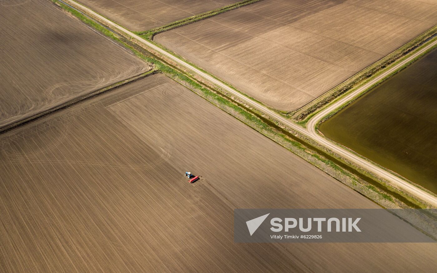 Russia Rice Planting