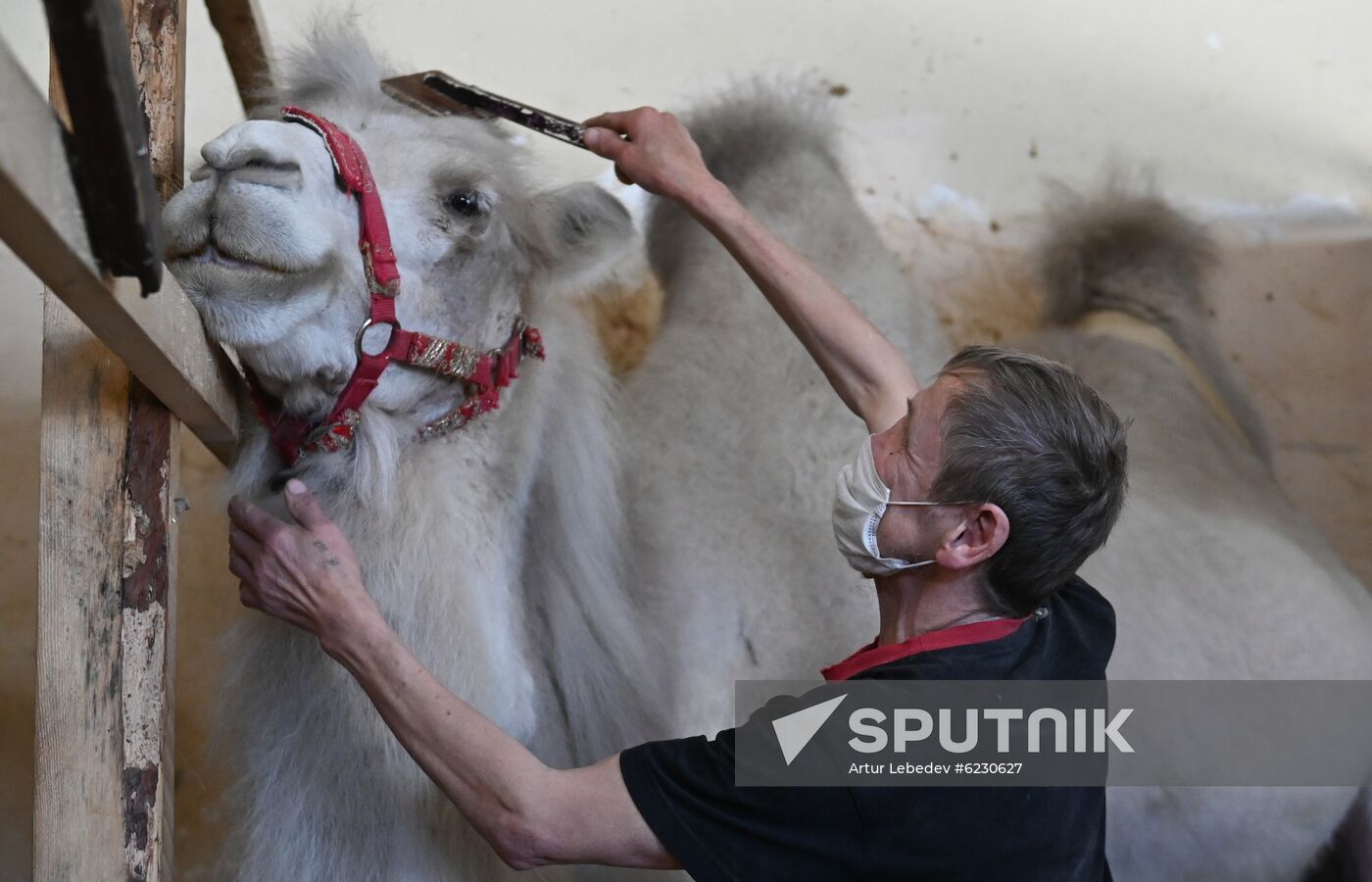 Russia Coronavirus Lockdown