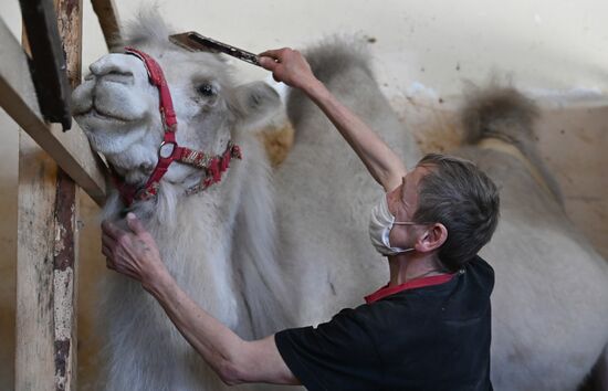 Russia Coronavirus Lockdown