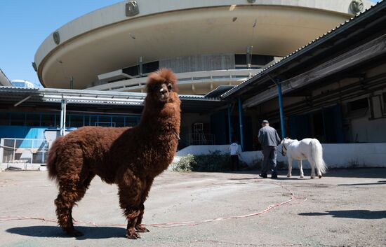 Russia Coronavirus Lockdown