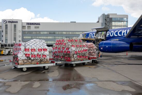 Russia Coronavirus Hospital Facilities