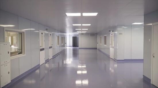 Russia Coronavirus Hospital Facilities 