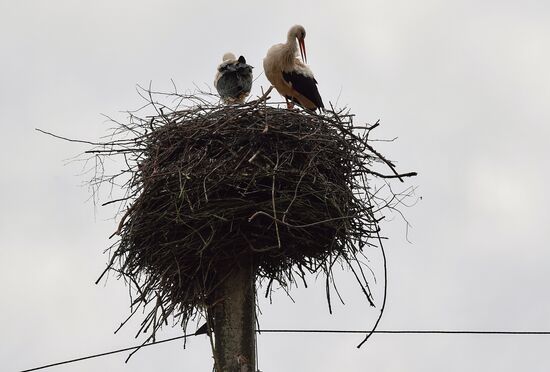 Russia Daily Life
