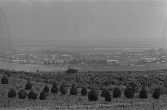 Mayak Revolyutsii collective farm in Krasnodar Territory