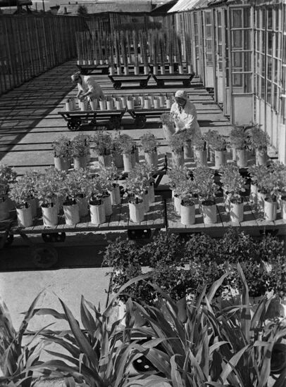 Academician Pryanishnikov Agro-Chemical Experimental Station in Dolgoprudny