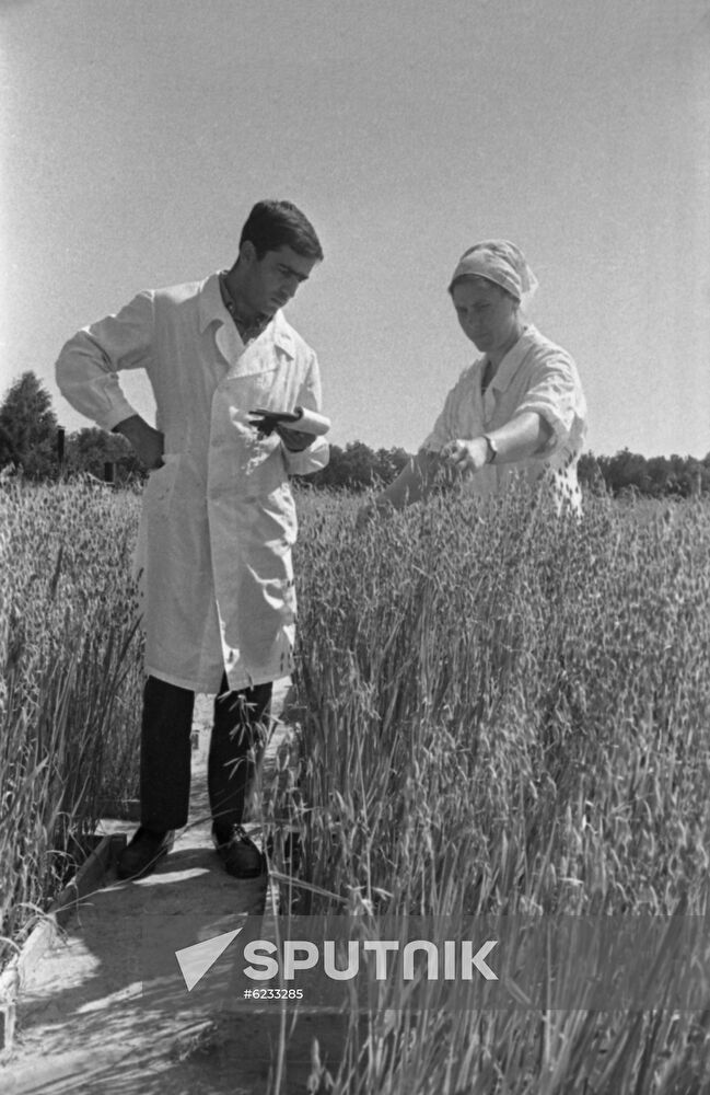 Academician Pryanishnikov Agro-Chemical Experimental Station in Dolgoprudny